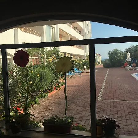 Sarafovo *